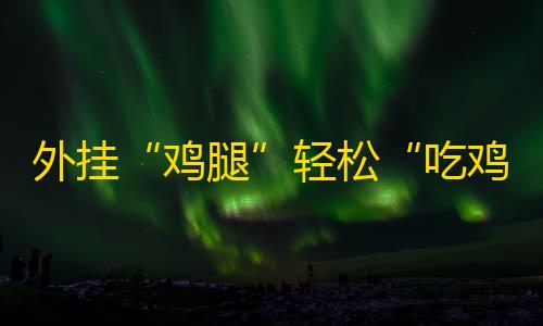 高防云服务器安全外挂“鸡腿”轻松“吃鸡”	？狂赚近3000万后
，幕后黑手获刑！